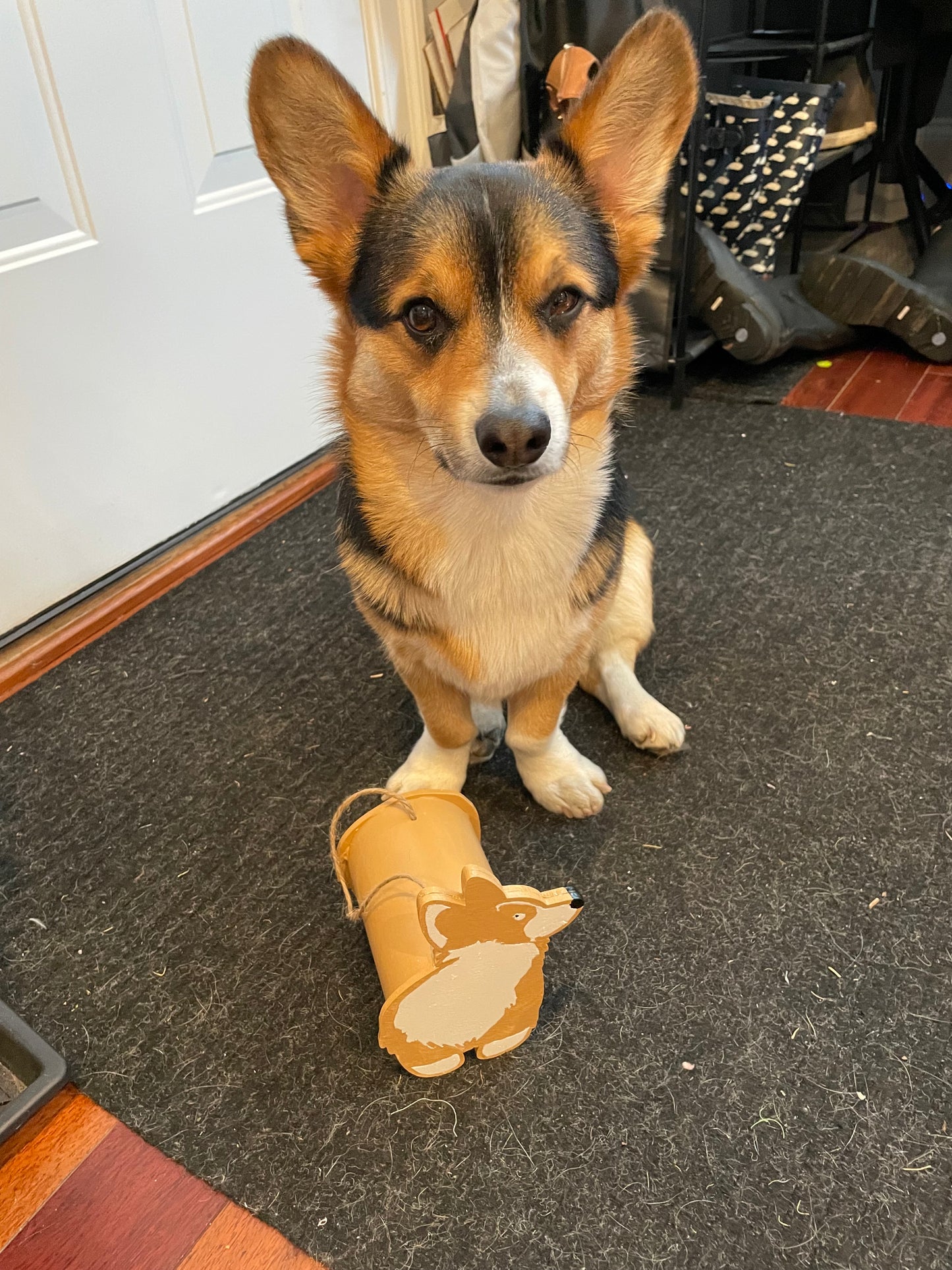 Corgi Butt Birdhouse