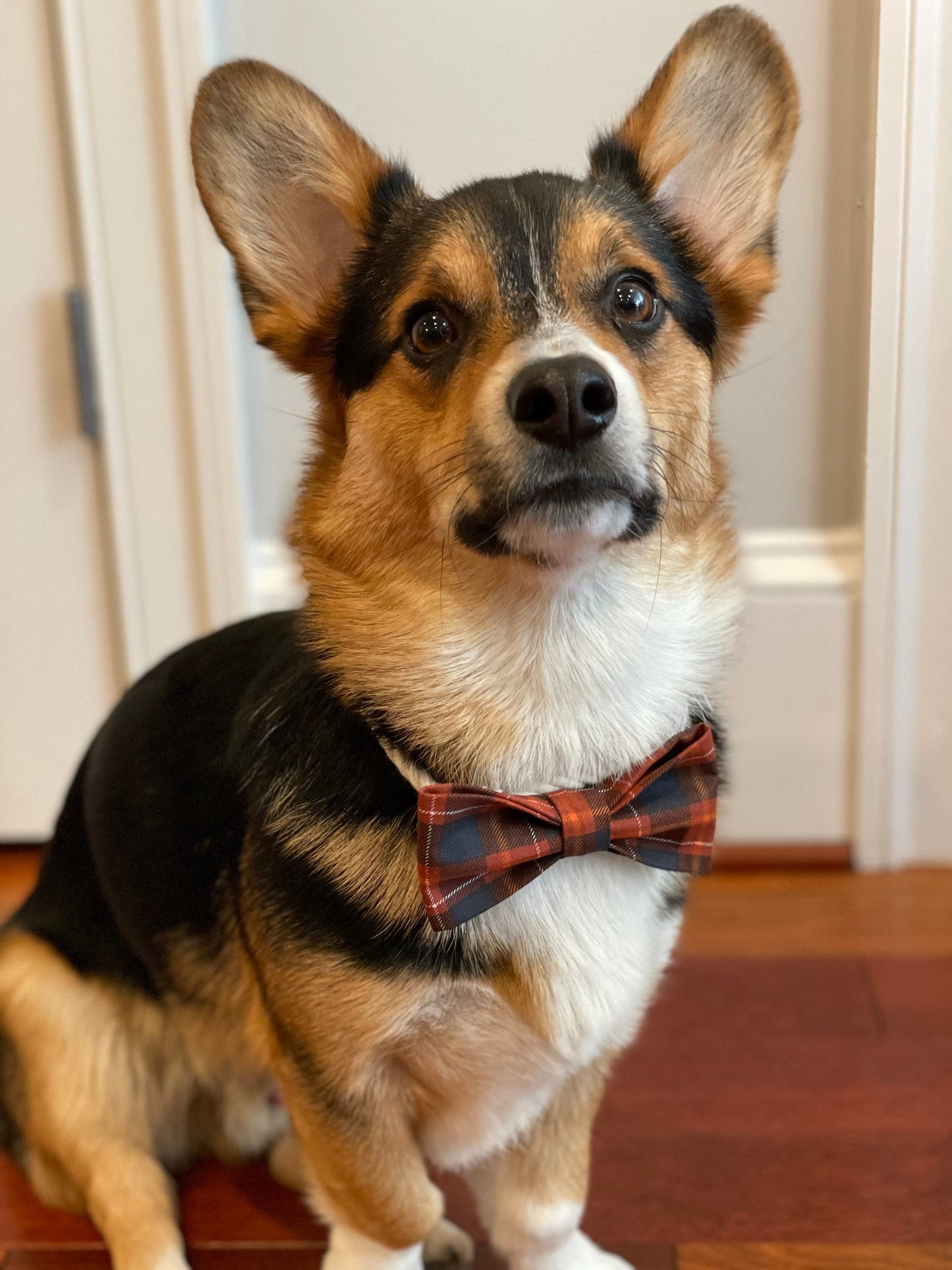 Orange Plaid Dog Bow tie