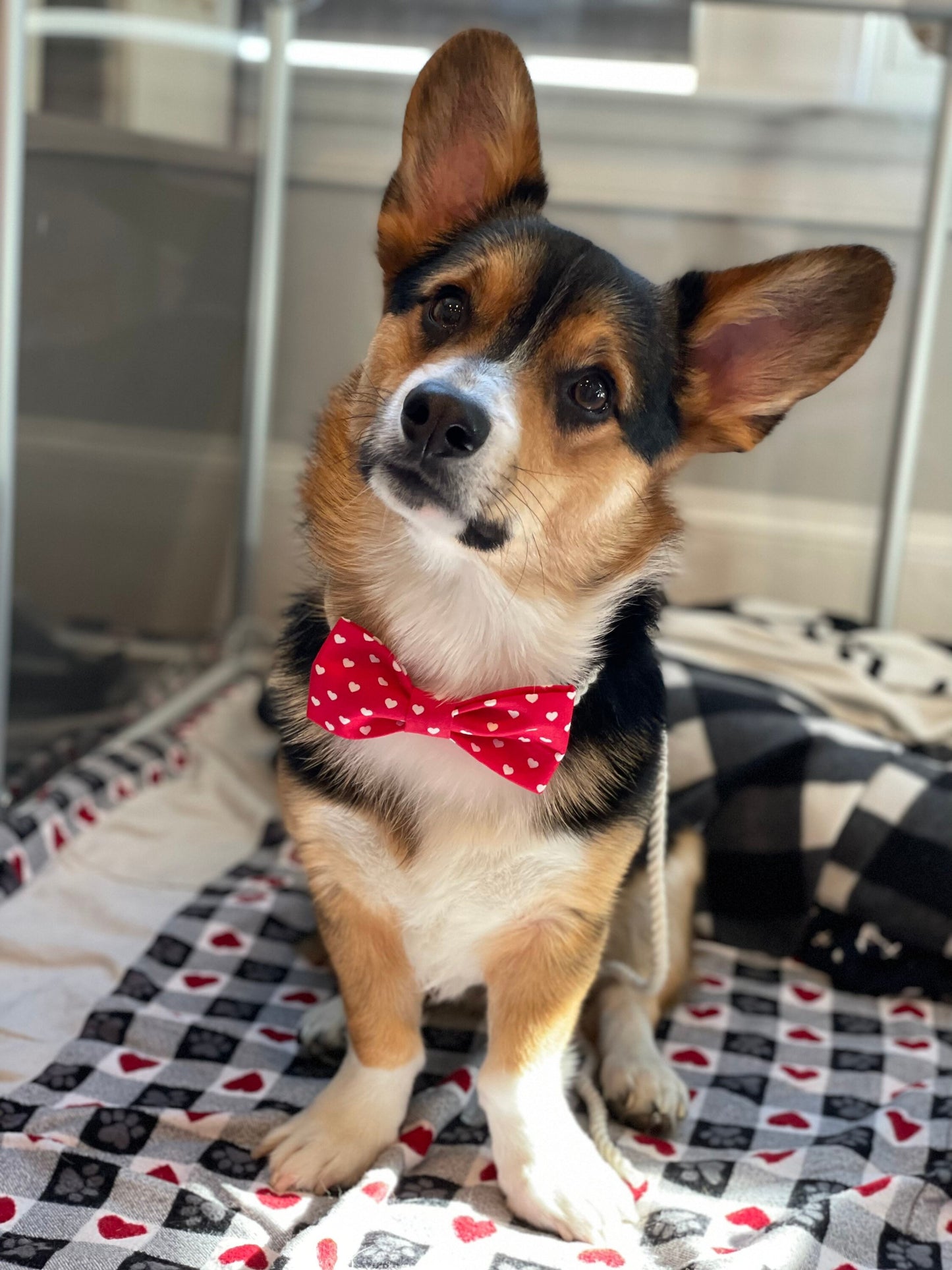 Red Heart Bow Tie